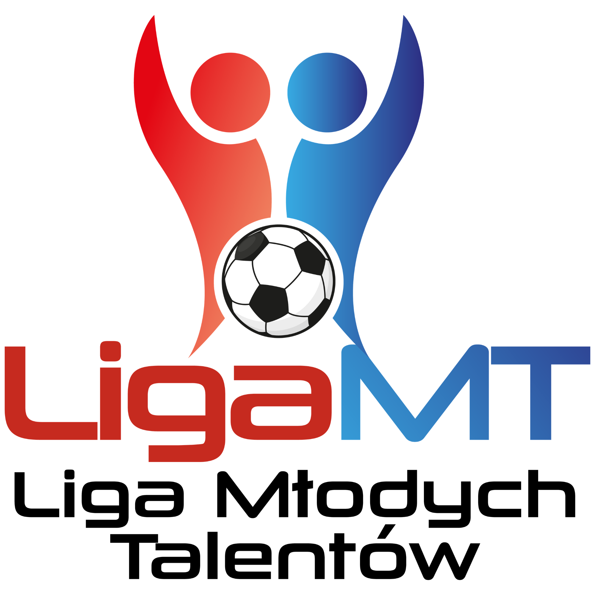 Liga MT Śląsk - Logo